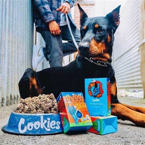 fake doggy cookie bags snoop dog|cookies doggy bagg cannabis.